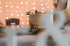 Svatba-PL_0284